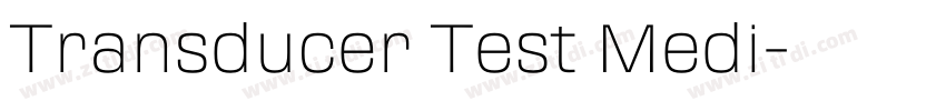 Transducer Test Medi字体转换